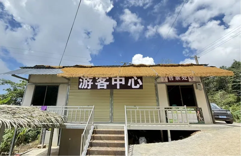 原始森林