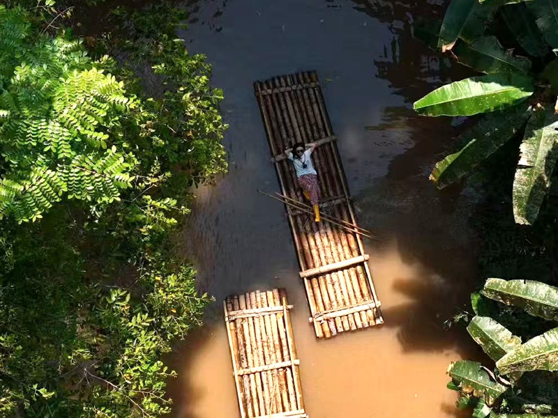 热带雨林