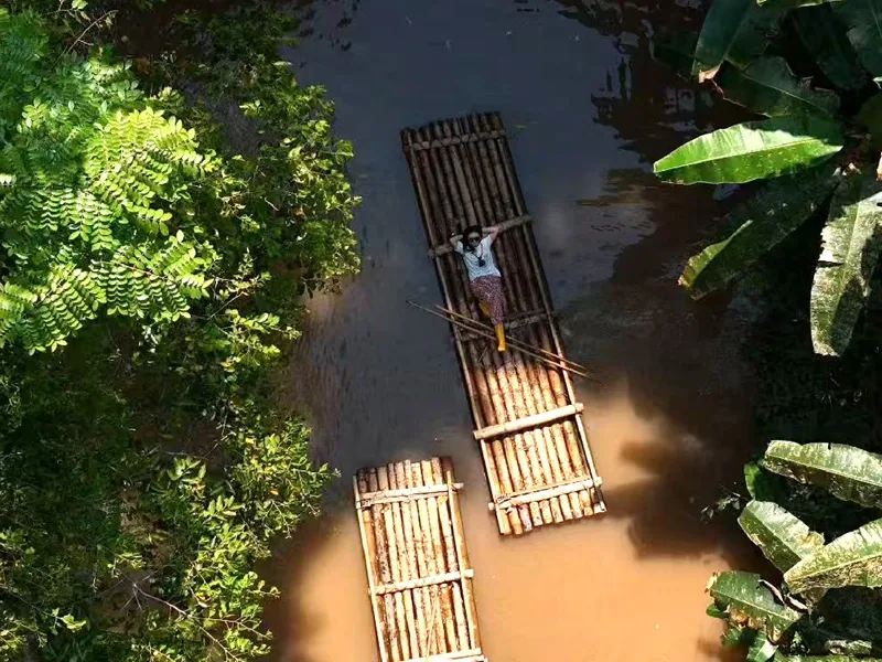 热带雨林